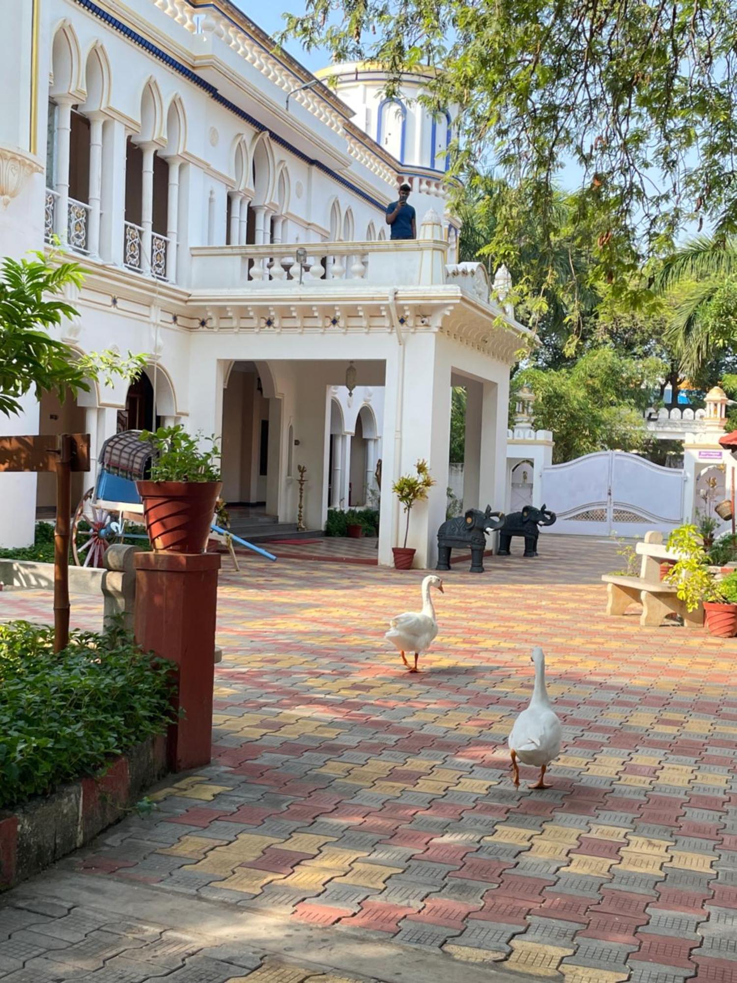 Chola Heritage Resort Карайкуди Экстерьер фото