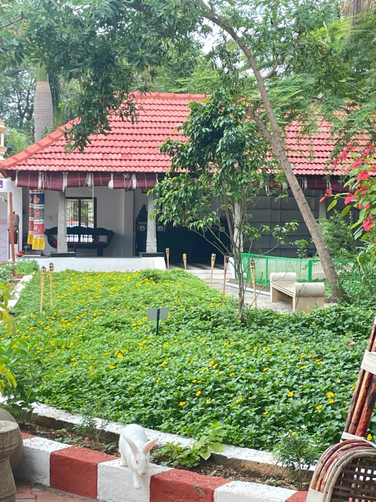 Chola Heritage Resort Карайкуди Экстерьер фото